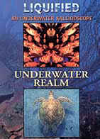Liquified/Underwater Realm DVD